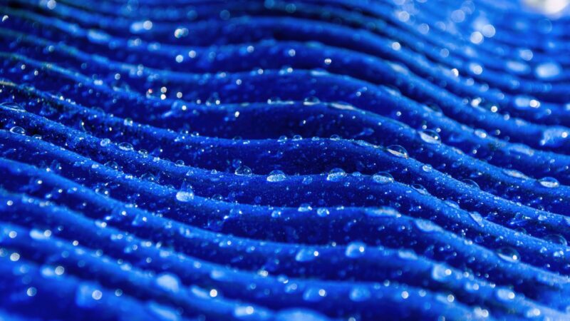 A World Caught in Dew wallpaper 4K