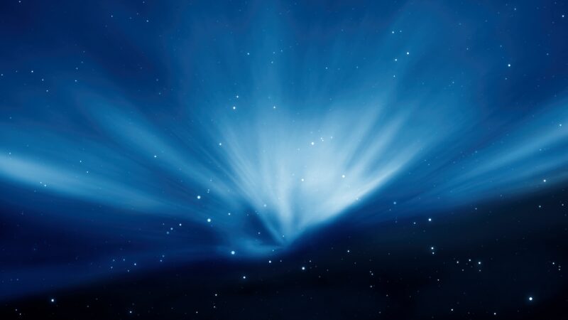 Blue Borealis in a Leopard Night wallpaper 4K