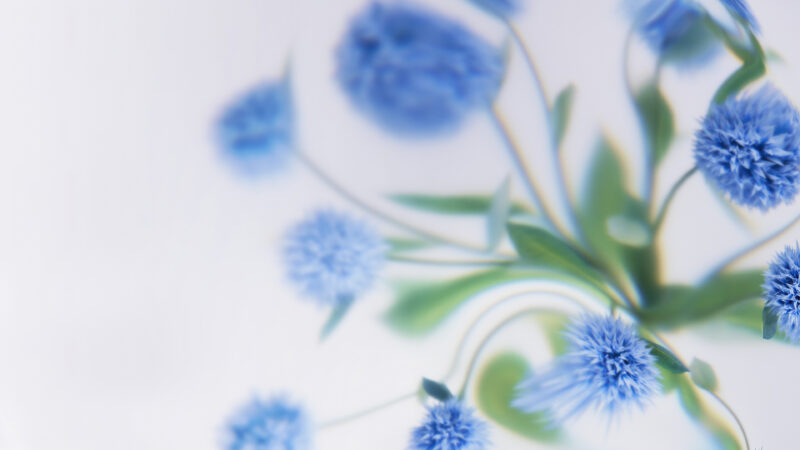 Blue Flowers Macro | Delicate Desktop Bloom wallpaper 4K