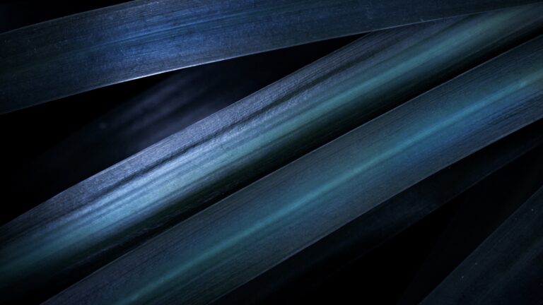 10 Abstract Wallpapers That Actually Look Good on 4K Screens