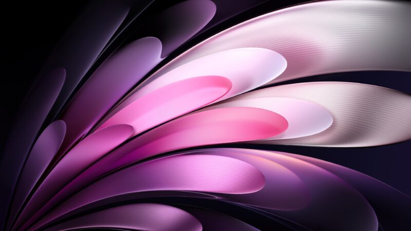 Dark Pink Gradient Moody Curves wallpaper 4K