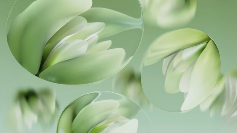 Lilies Dreaming in Pastel Green wallpaper 4K