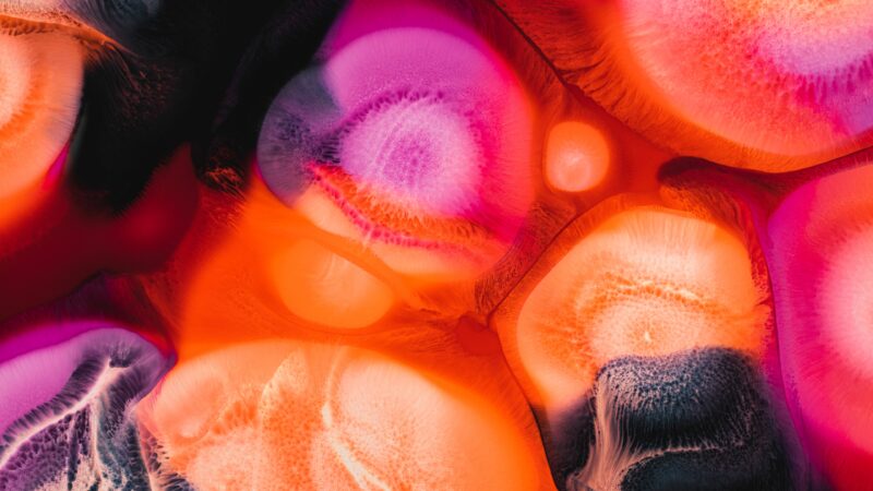 Liquid Motion Vibrant Color Flow wallpaper 4K