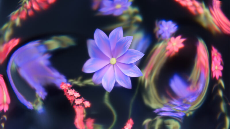 Luminous Petals in Ethereal Bokeh wallpaper 4K