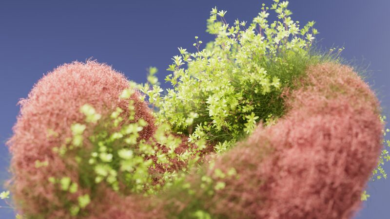 Peach Bokeh Botanical Close Up wallpaper 4K