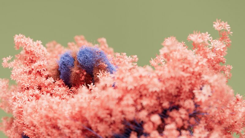 Pink Moss Blooming on Green wallpaper 4K