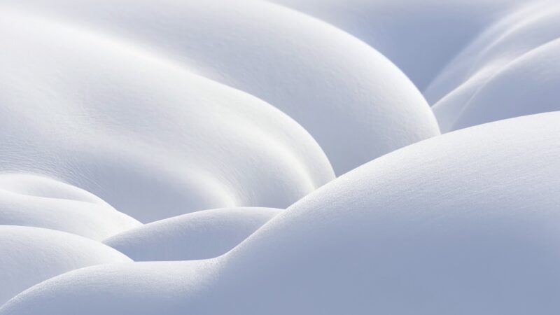 Pure White World After Snowfall wallpaper 4K