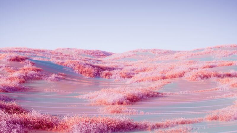 Soft Pink Across Open Meadows wallpaper 4K