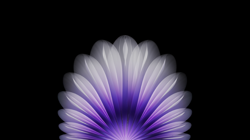 Violet Floral Symmetry AMOLED Art wallpaper 4K