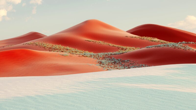 Red Sand Dunes | Sparse Desert Vegetation Desktop wallpaper 4K