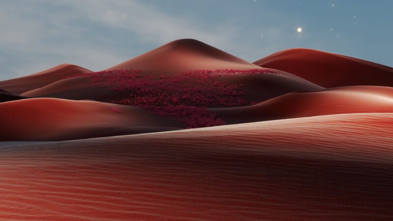 Red Sand Dunes | Desert Vegetation Desktop wallpaper 4K