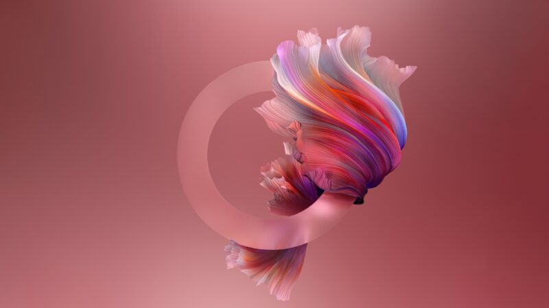 Warm Blush in Pastel Red wallpaper 4K