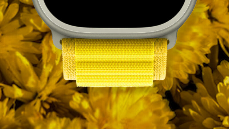 Yellow Flowers Apple Watch | Vibrant Spring iPhone wallpaper 4K