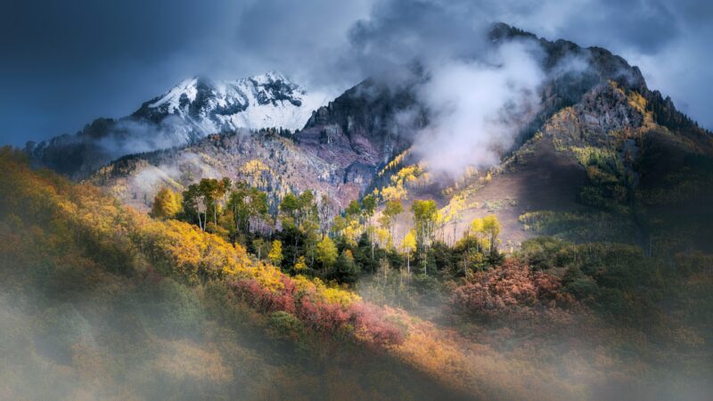 Aspen Gold Blankets a Colorado Valley wallpaper 4K