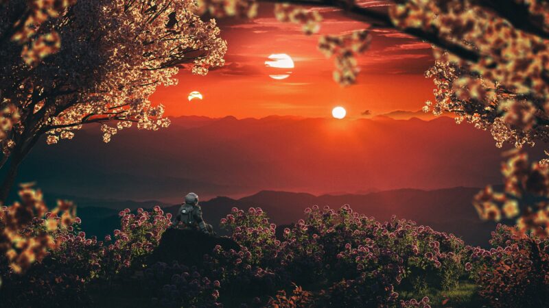 Astronaut Dreaming Beneath Cherry Blossoms wallpaper 4K