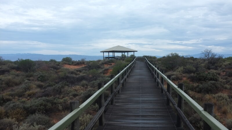 Australian Outback Boardwalk Gazebo Overcast Desktop Wallpaper HD wallpaper 4K