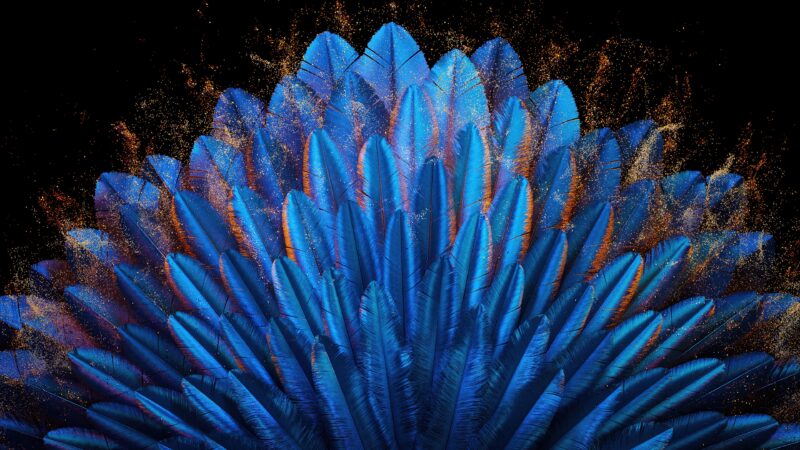 Blue Feather Texture | Soft Plume Arrangement Desktop wallpaper 4K