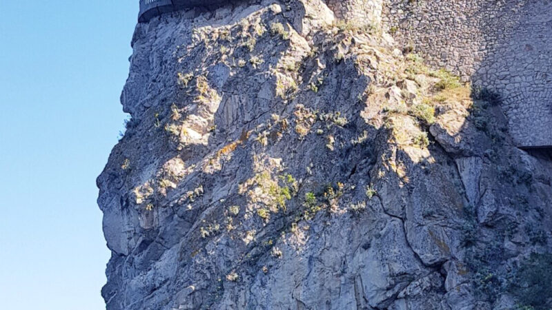 Castle Cliff Swallow’s Nest | Coastal View iPhone wallpaper 4K