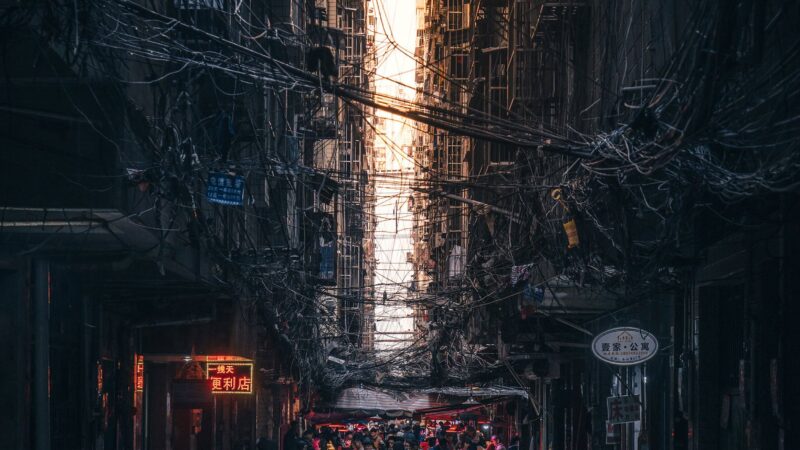 Chaotic Overhead Wires Dog Street China iPhone Wallpaper HD wallpaper 4K