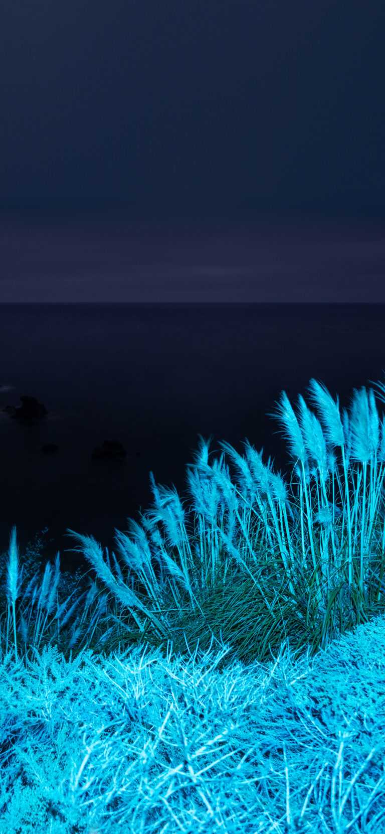 Coastal Blue Grass iPhone | Serene Ocean Vista wallpaper 4K
