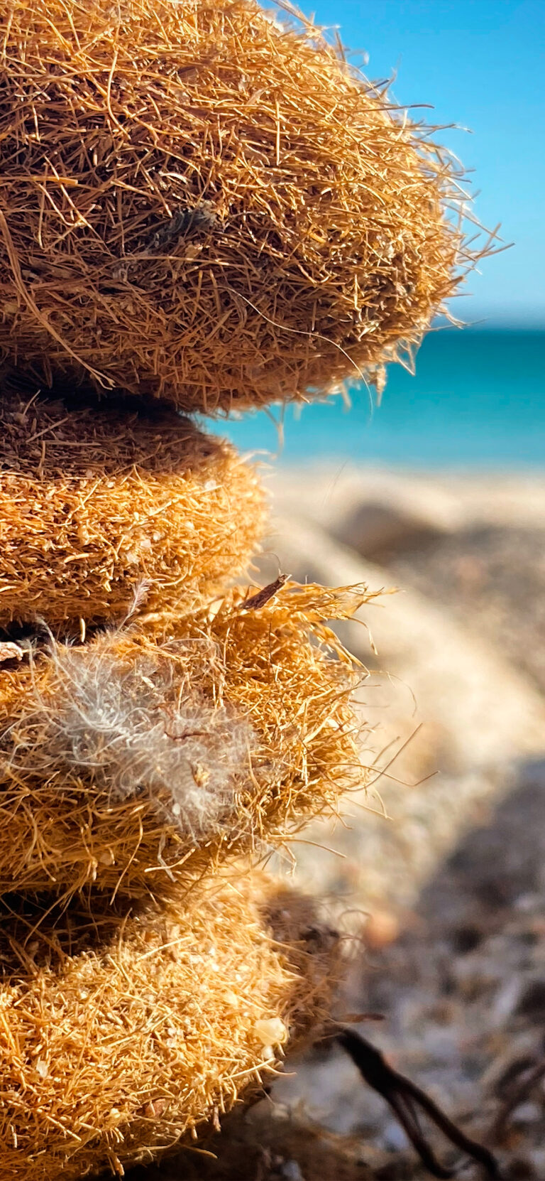 Beach Coir Logs iPhone | Sandy Horizon Views wallpaper 4K