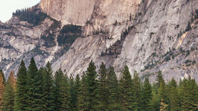 Deer Meadow Mountain iPhone | Warm Evening Light wallpaper 4K