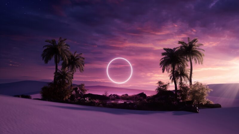 Desert Palm Silhouettes Beneath a Starry Sunset wallpaper 4K