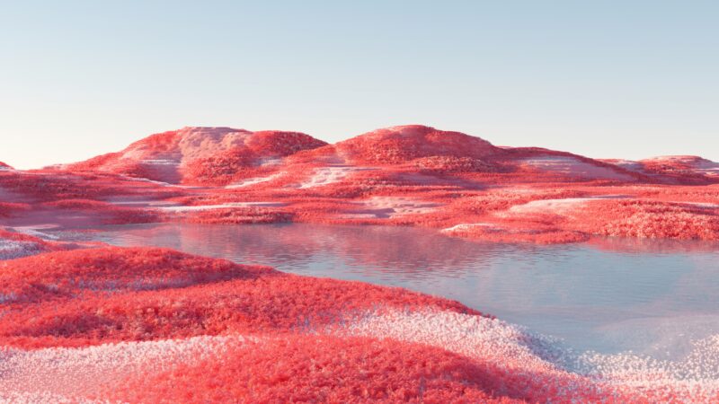 Dreamlike Pink Grass Infrared Vision wallpaper 4K