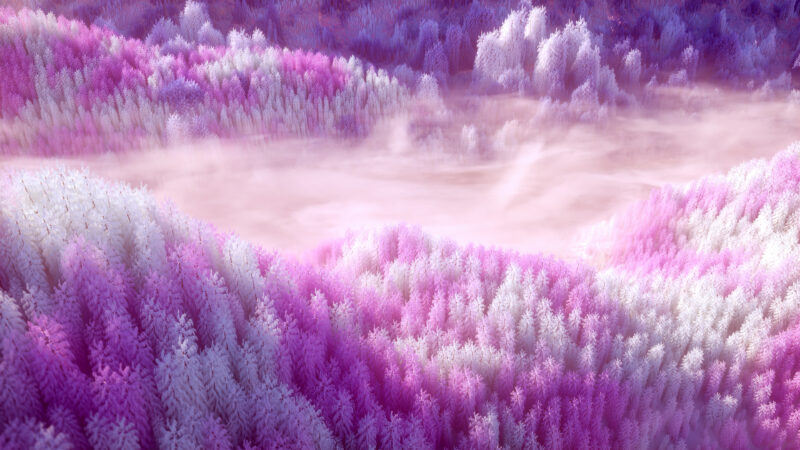 Dreamy Pink Forest Floating Among Clouds wallpaper 4K