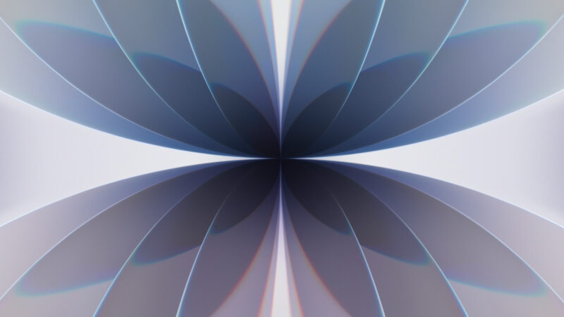 Floral Symmetry iPhone | Pale Gray Blue Lavender wallpaper 4K