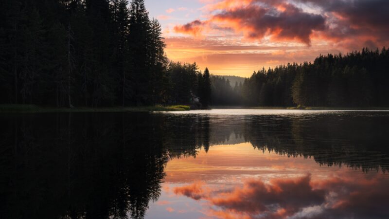 Forest Lake Mirrors a Fiery Sunset wallpaper 4K