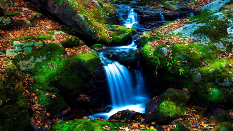 Forest Waterfall | Long Exposure Desktop wallpaper 4K