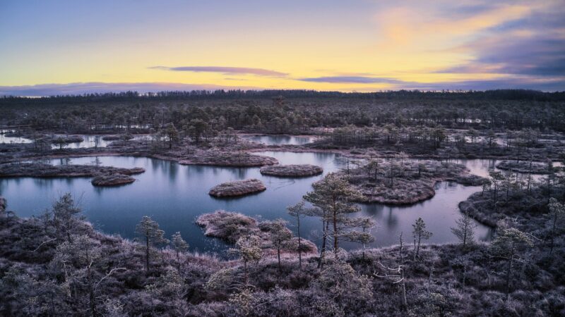 Golden Hour Bog | Aerial Landscape Desktop wallpaper 4K