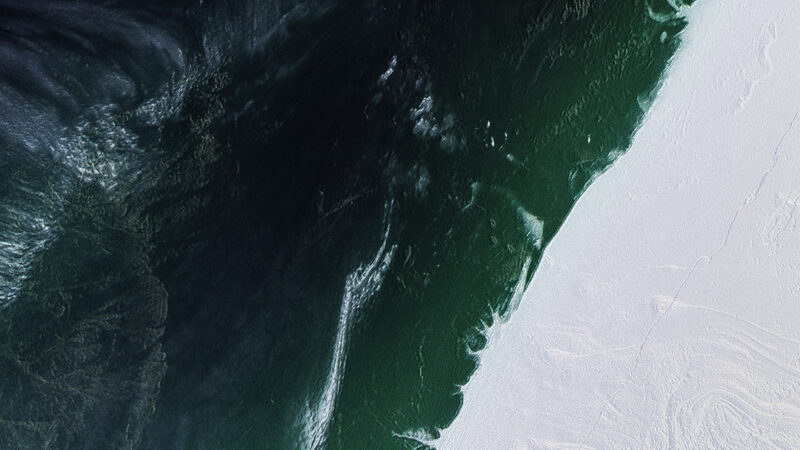 Green Liquid Flow iPhone | White Surface Art wallpaper 4K