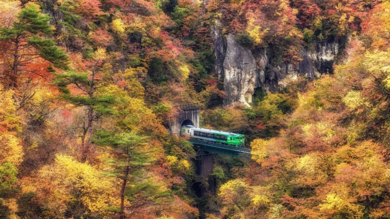 Green Train Autumn Cliffside Bridge Desktop Wallpaper 4K wallpaper 4K
