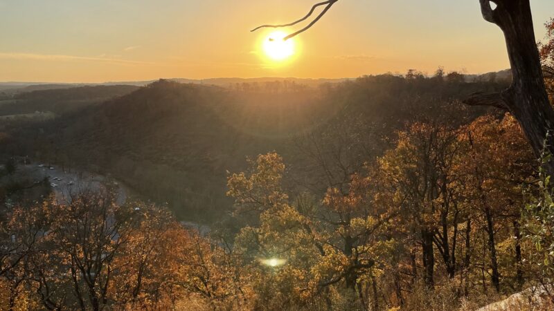 Golden Hillside Sunset | iPhone Autumn Scenery wallpaper 4K
