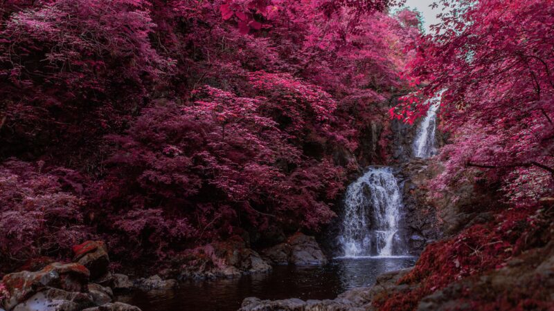 Infrared Waterfall Glowing in Soft Pink wallpaper 4K