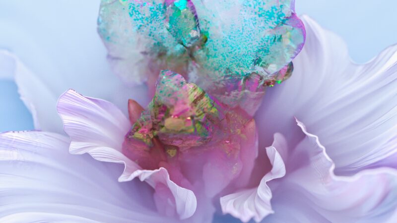 Iridescent Flower Detail | Pale Bloom Desktop wallpaper 4K