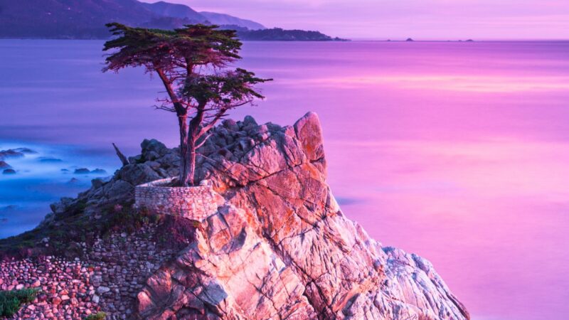 Lone Cypress Rock Twilight Ocean iPhone Wallpaper HD wallpaper 4K