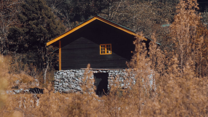 Lone Gabled Farmhouse Dense Woodland iPhone Wallpaper HD wallpaper 4K