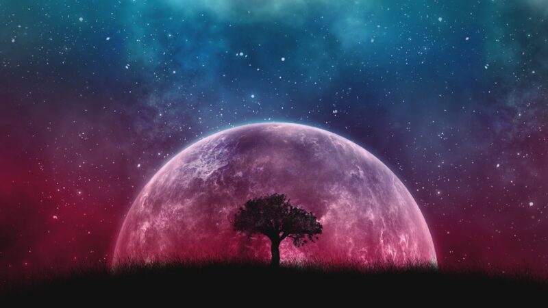 Lone Tree Moonlit Sky Desktop | Cosmic Space Scene wallpaper 4K