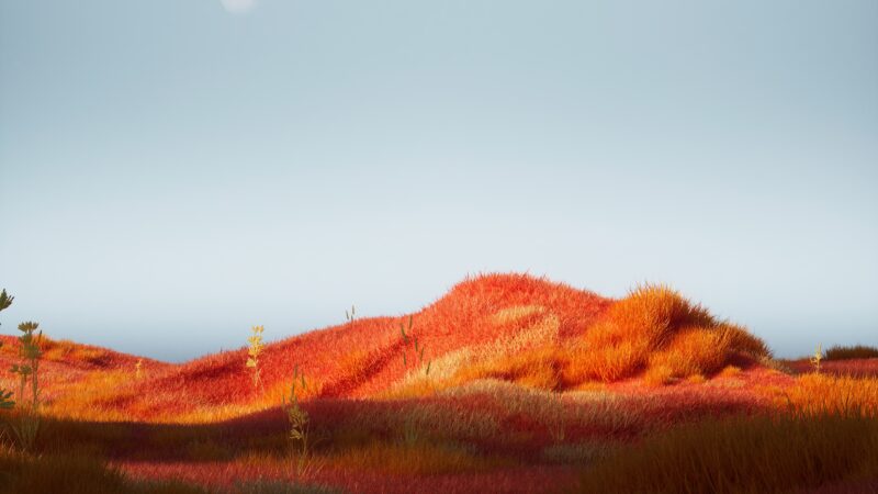 Moonlit Grass Field Wrapped in Mystery wallpaper 4K