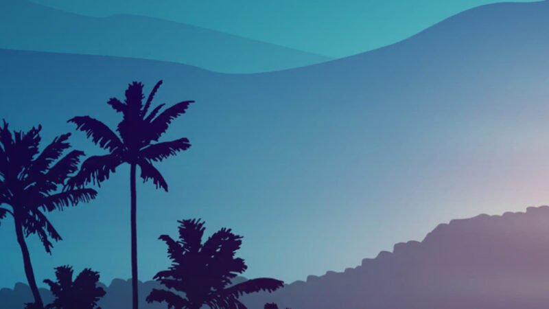 Palm Trees Sunset iPhone | Tropical Beach Reflections wallpaper 4K