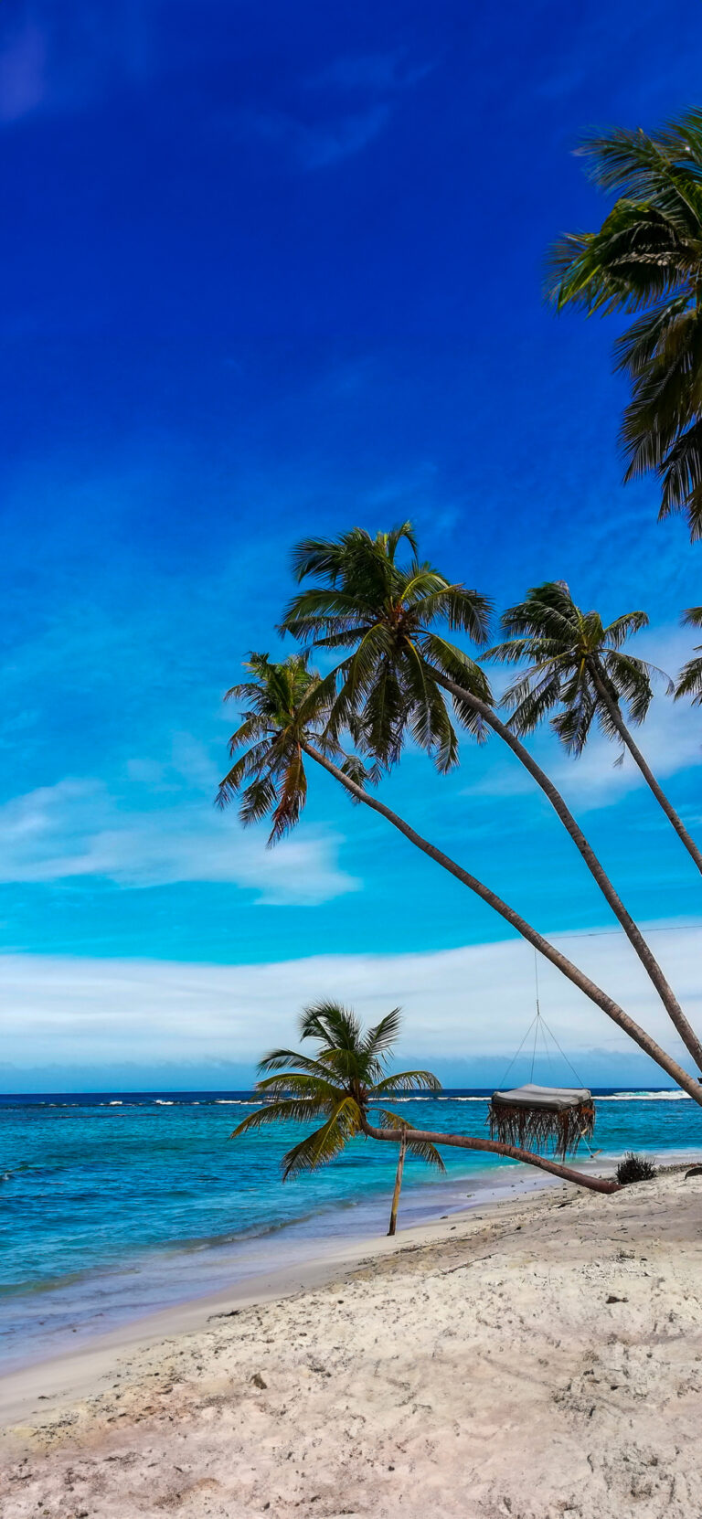 Tropical Beach Palm Trees iPhone | Turquoise Water & Sky wallpaper 4K