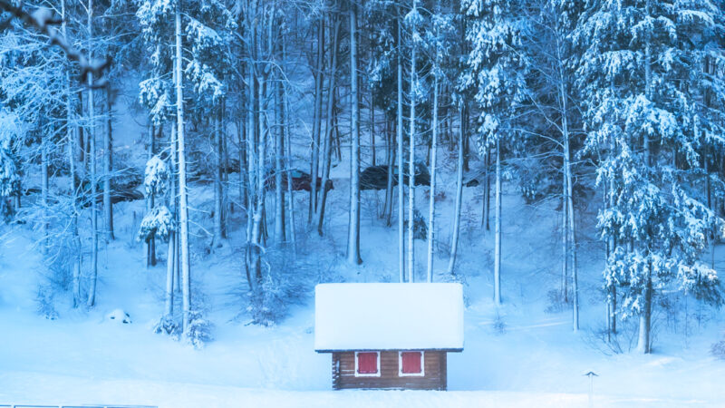 Red Cabin Winter Forest | iPhone Snowy Landscape wallpaper 4K