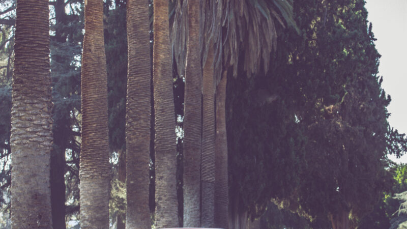 Red Coupe Palm Road | Scenic iPhone Drive wallpaper 4K