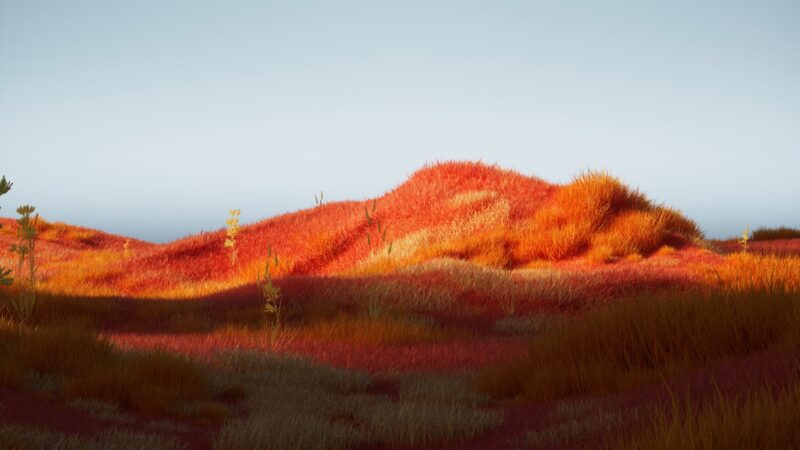Red Dunes Golden Grass Desktop | Desert Landscape View wallpaper 4K