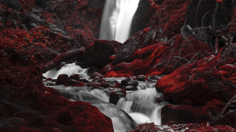Red Forest Waterfall | iPhone Long Exposure wallpaper 4K