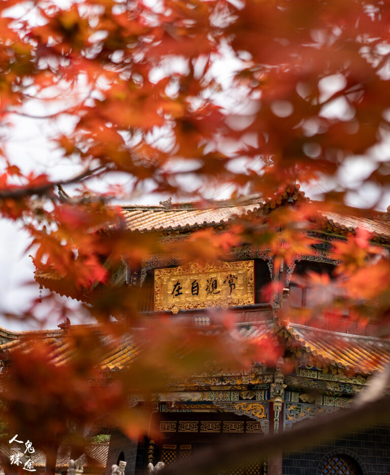 Red Gold Chinese Temple Autumn Leaves iPhone Wallpaper 4K wallpaper 4K