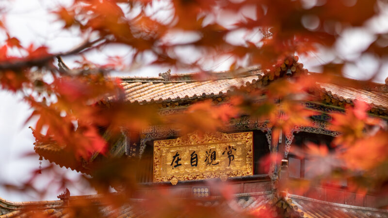 Red Gold Chinese Temple Autumn Leaves iPhone Wallpaper 4K wallpaper 4K